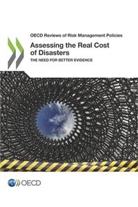 Assessing the Real Cost of Disasters