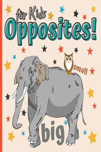 Opposites Book for Kids