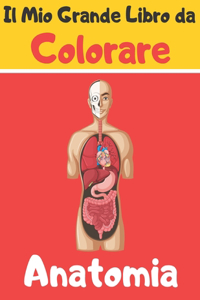 Il Mio Grande Libro da Colorare Anatomia