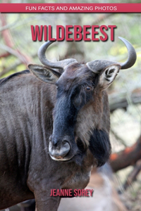 Wildebeest
