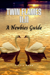 Questions Twin Flame Newbies Ask: Are You New To The Twin Flame Experience?