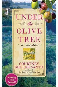 Under the Olive Tree