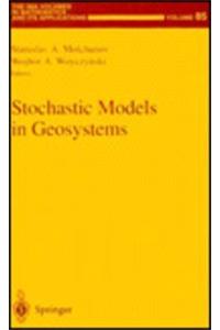 Stochastic Models in Geosystems