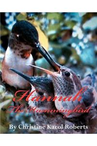 Hannah the Hummingbird