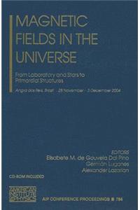 Magnetic Fields in the Universe