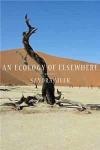 An Ecology of Elsewhere