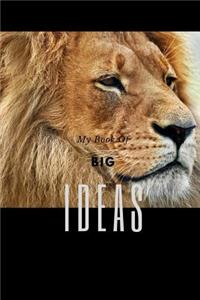 My Book Of Big Ideas