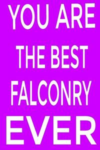 You are the best falconry ever