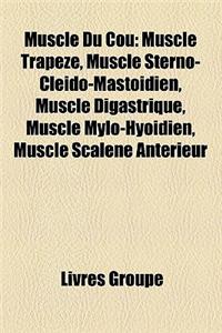 Muscle Du Cou