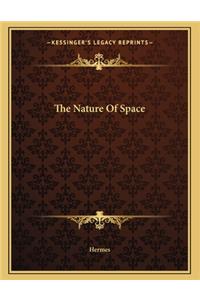 The Nature of Space