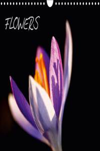 Flowers / UK-Version 2015