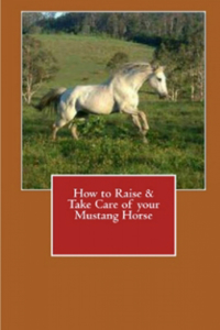 How to Raise & Take Care of Your Mustang Horse