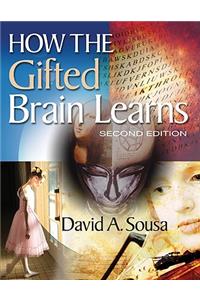 How the Gifted Brain Learns