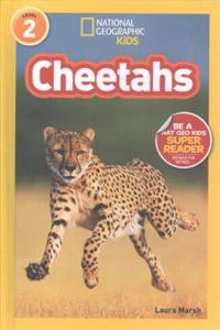 Cheetahs (1 Hardcover/1 CD)