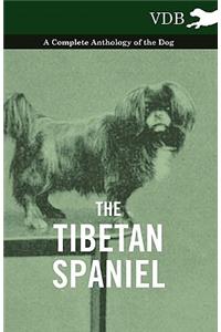 The Tibetan Spaniel - A Complete Anthology of the Dog