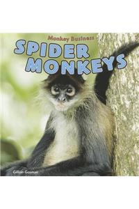 Spider Monkeys