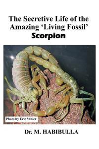 Secretive Life of the Amazing 'Living Fossil' Scorpion