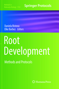 Root Development