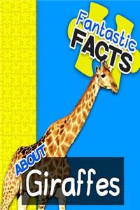 Fantastic Facts about Giraffes