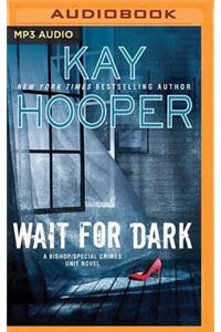 Wait for Dark
