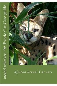 Exotic Cat Care guide
