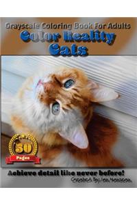 Cats - Color Reality