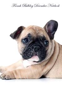 French Bulldog December Notebook & Journal. Also French Bulldog Notepad, To Do List, Academic Notepad, Scrap Book, Diary