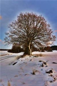 Solitary Sunlit Tree on a Snowy Winter Morning Serenity Journal