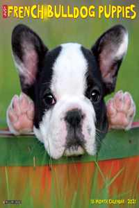 Just French Bulldog Puppies 2021 Wall Calendar (Dog Breed Calendar)