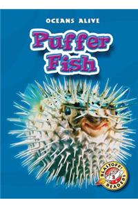 Puffer Fish