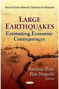 Large Earthquakes
