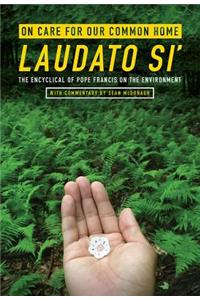 On Care for Our Common Home, Laudato Si': The Encyclical of Pope Francis on the Environment with Commentary by Sean McDonagh