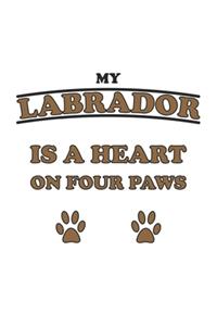 My Labrador is a heart on four paws