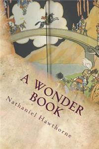 A Wonder Book