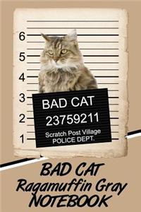 Bad Cat Ragamuffin Gray Notebook