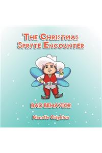 The Christmas Spryte Encounter