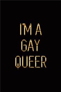 I'm a Gay Queer