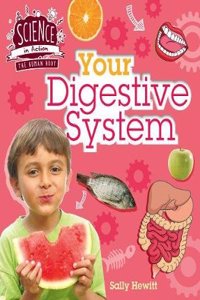 Human Body: Your Digestive System
