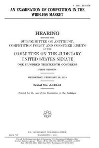 An examination of competition in the wireless market