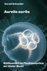 Aurelia aurita