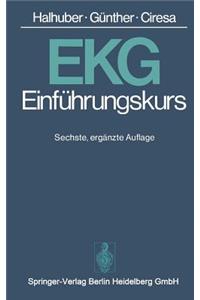 Ekg-Einführungskurs