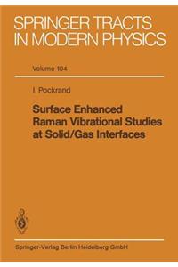 Surface Enhanced Raman Vibrational Studies at Solid Gas Interfaces