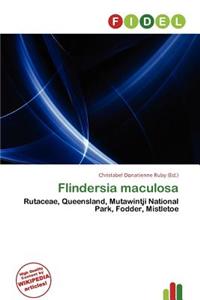 Flindersia Maculosa