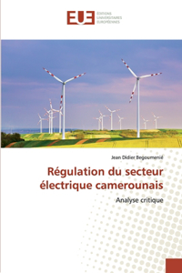 Régulation du secteur électrique camerounais