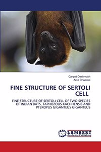 Fine Structure of Sertoli Cell