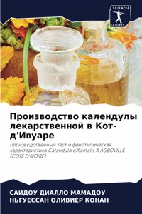 Производство календулы лекарственной в К