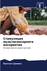 Стимуляция мультисенсорного восприятия