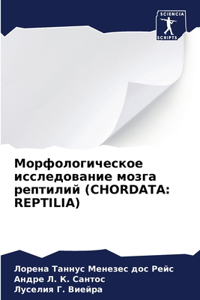 Морфологическое исследование мозга реп