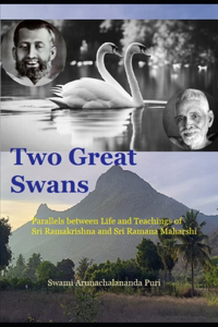 Two Great Swans