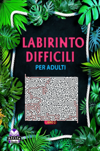 Libri labirinto difficili per adulti Libro 2